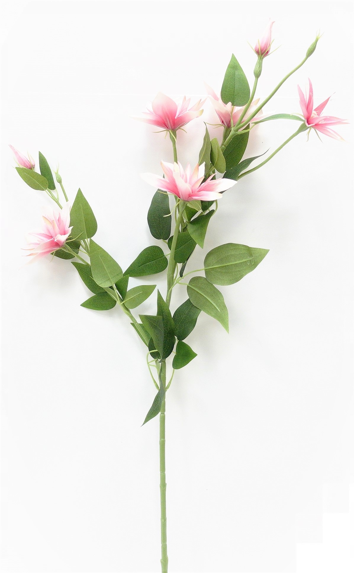 

Pan Kwiatek-kwiaty gałązka Sztuczne Klemantis