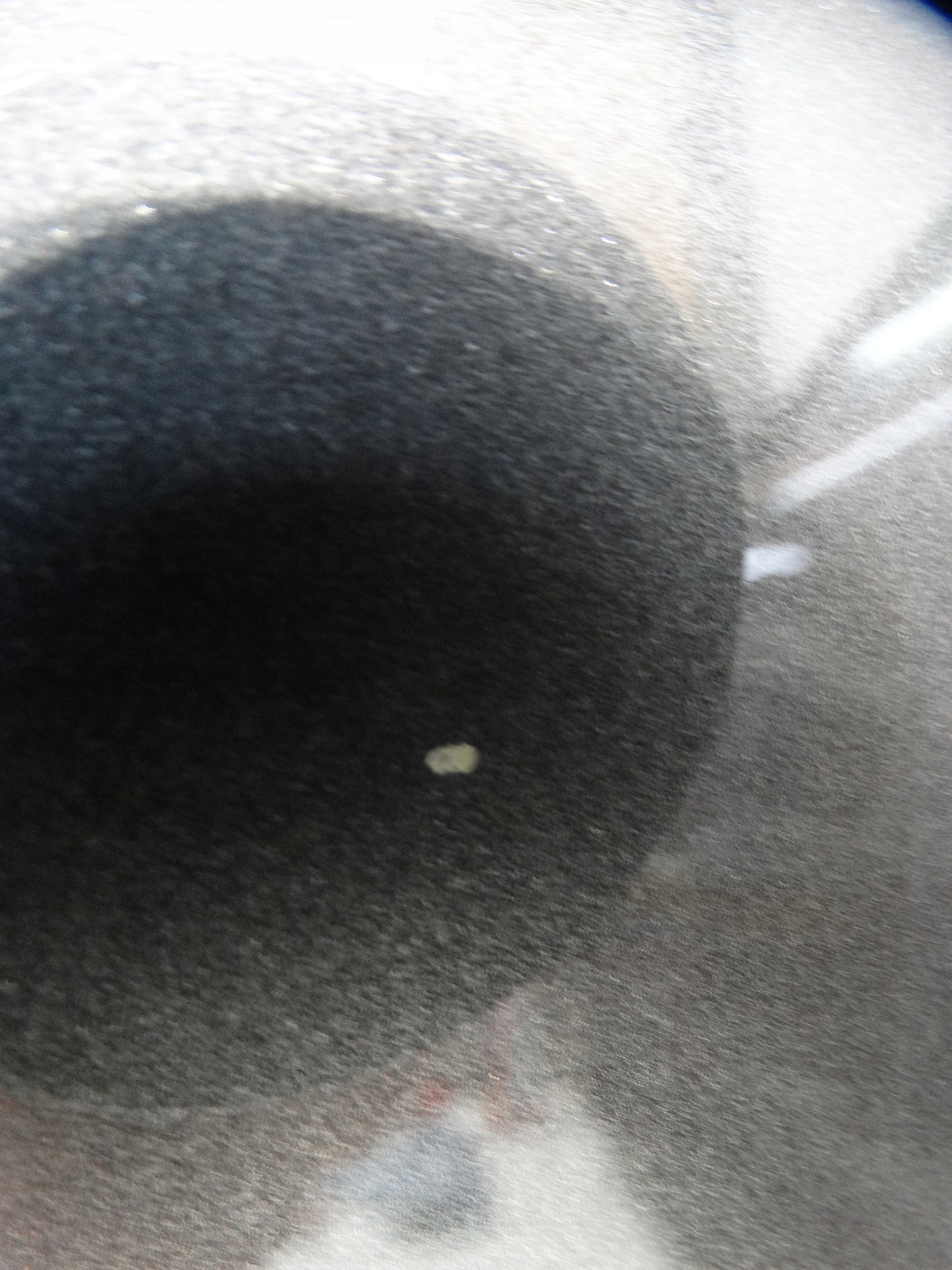 door left rear. CITROEN C4 III 2020R.- KOD : EVL 90UM