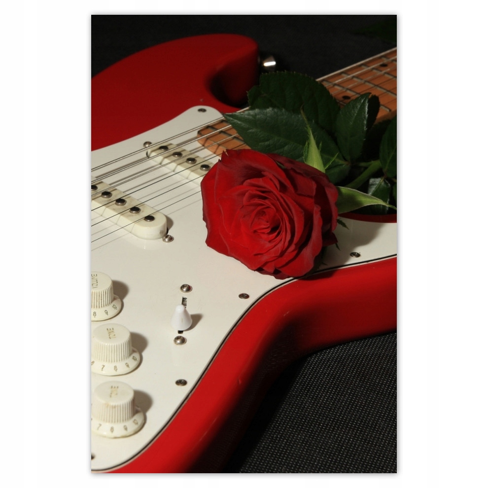 

Plakaty 62x93 Gitara elektryczna z różą