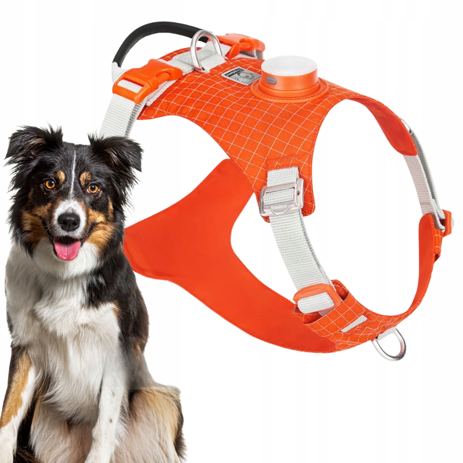 Postroj Pro Psa Truelove Tracker Easy Walk S Led Lampičkou, Oranžový
