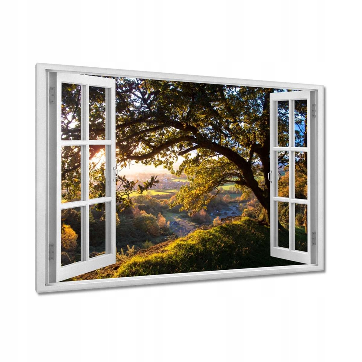 Obrazy 120x80 Pohled do údolí