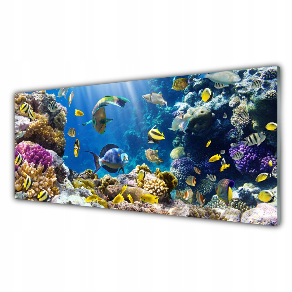 

Fotoobraz na prezent 125x50 Rafa Koralowa Natura