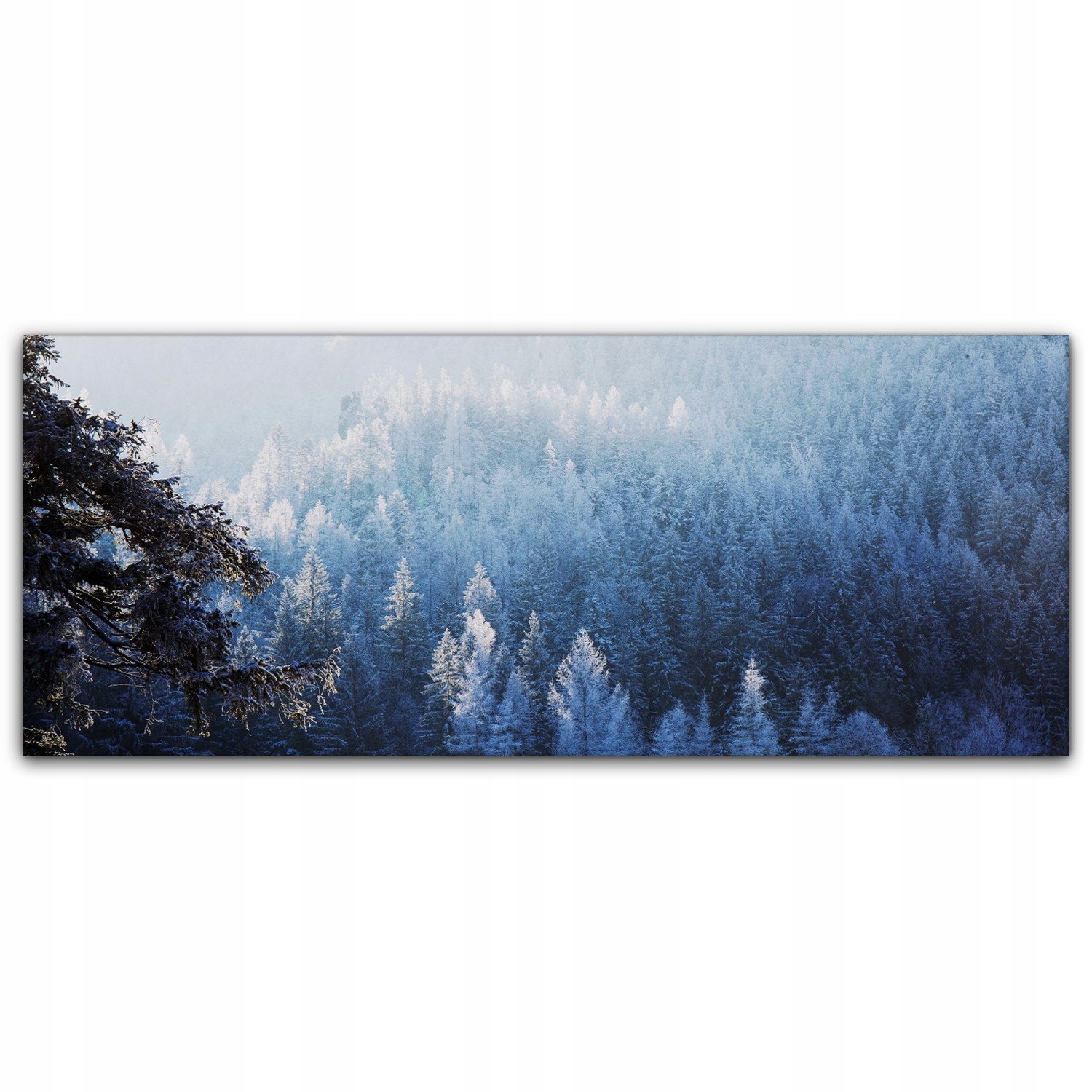 

Canvas na ramie ścienny 125x50 Las Zima Góry Śnieg