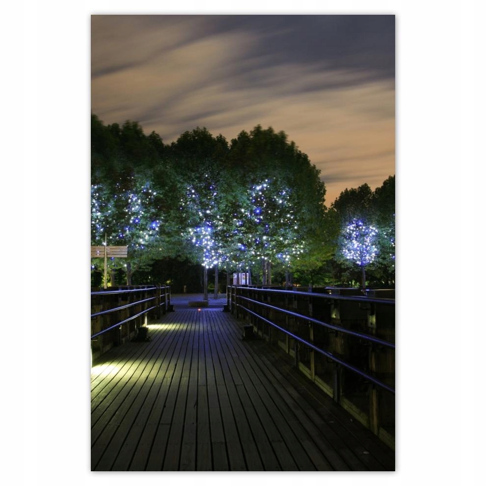 

Plakat 62x93 Spacerkiem po nocy