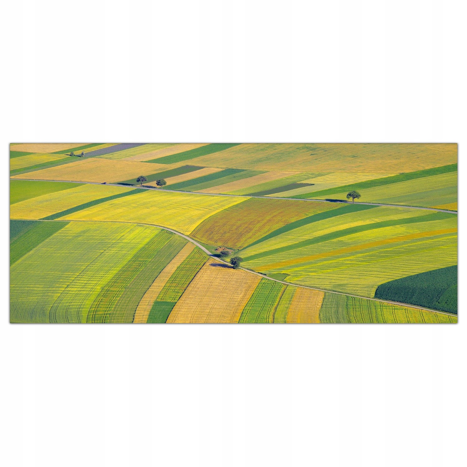 

Obraz na szkle Foto Farma Pola Krajobraz 125x50