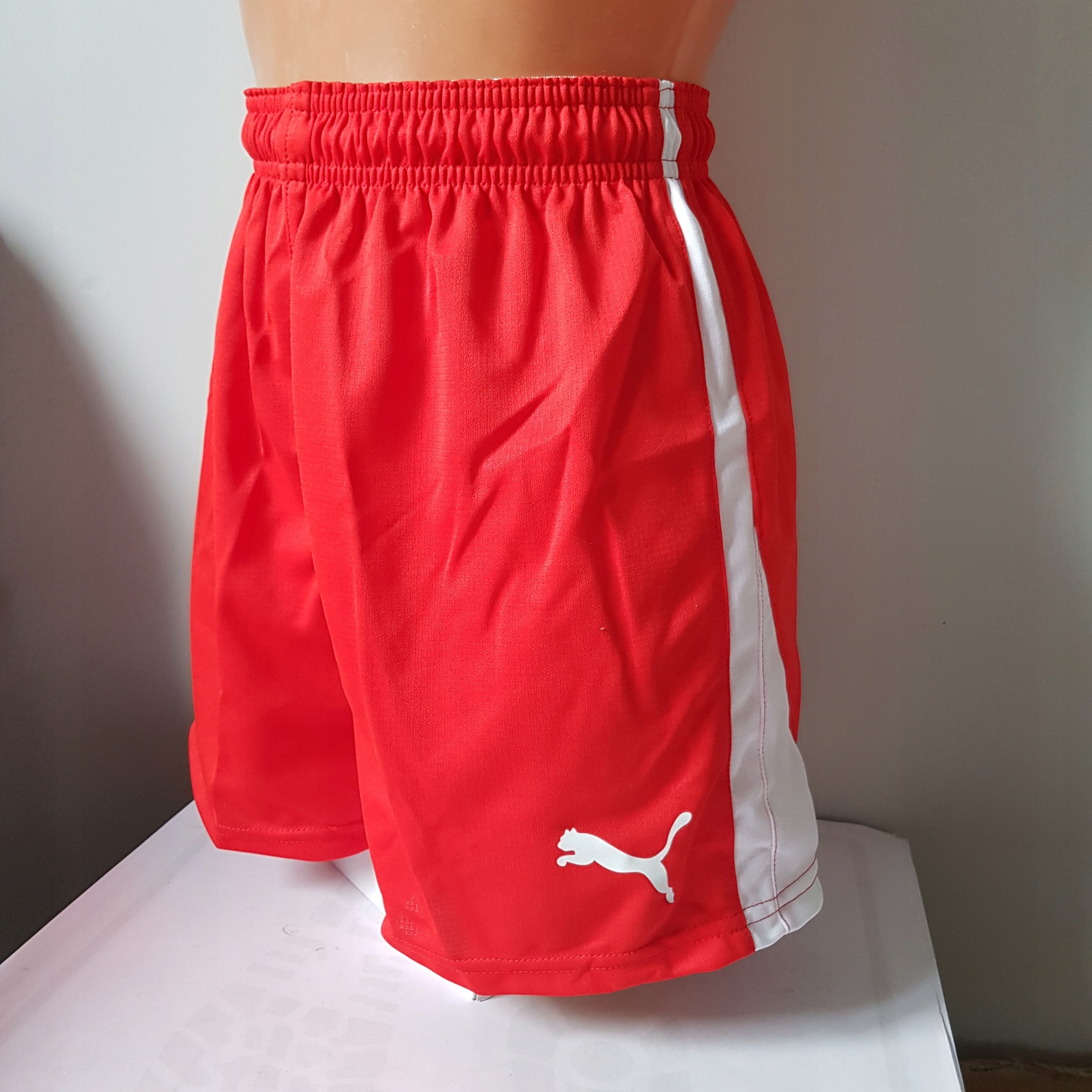 G1761 PUMA V5.06 HANDBALL SPODENKI DAMSKIE S Marka Puma