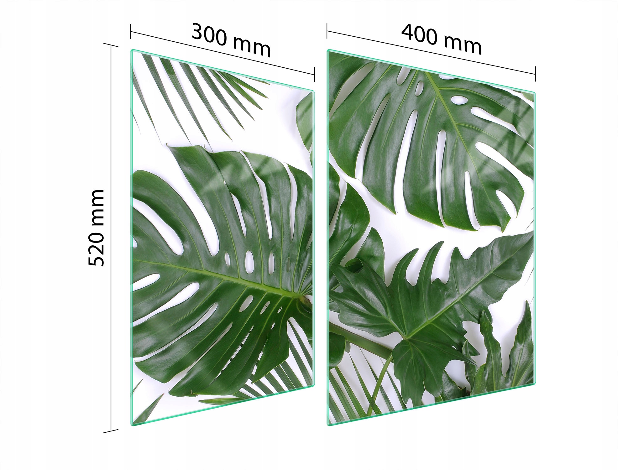 Skleněná Ochranná Deska Na Sporák 70x52 Monstera Tvrzené Sklo
