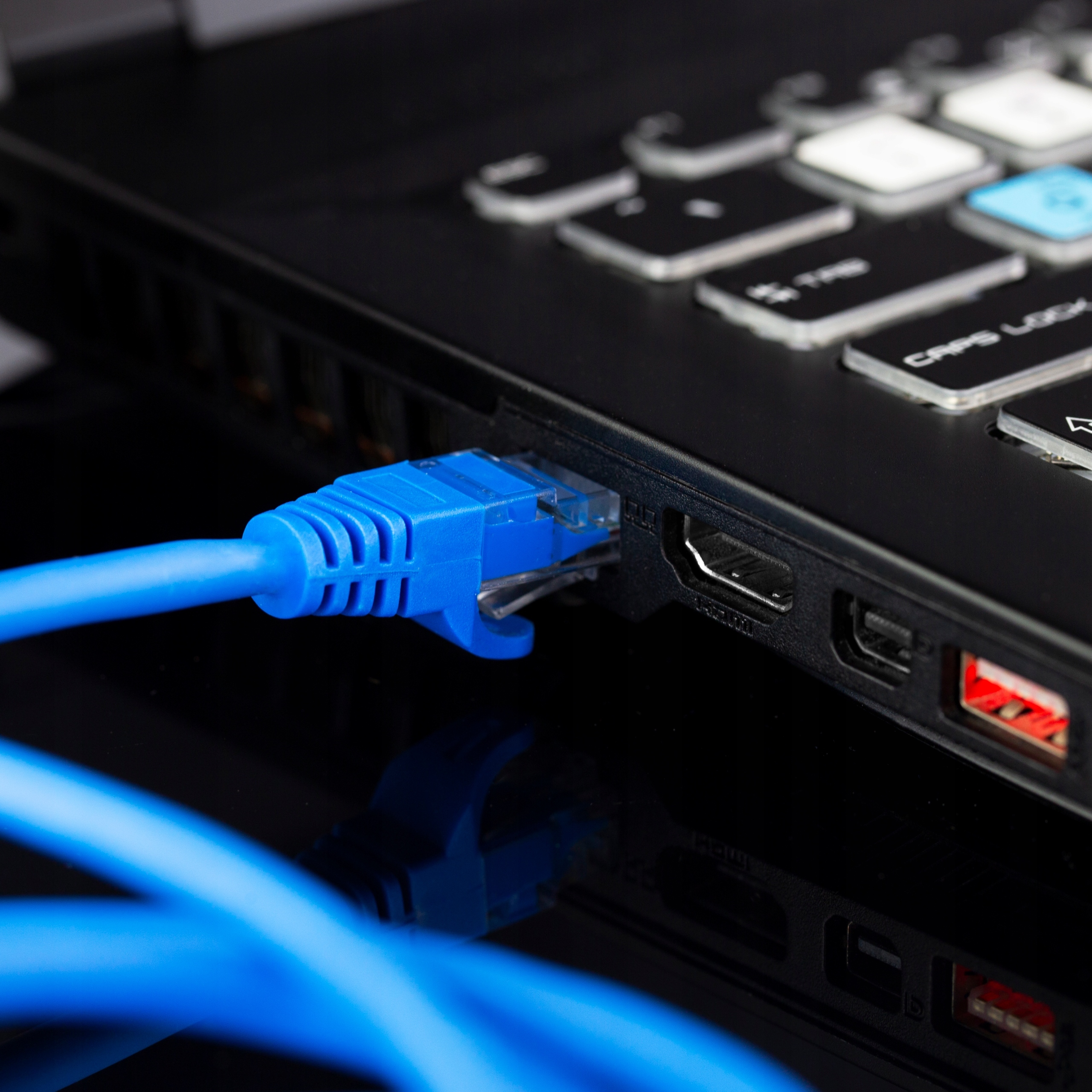 NEKU Kabel Patchcord UTP 5E sieciowy niebieski 1m Rodzaj przewodu UTP