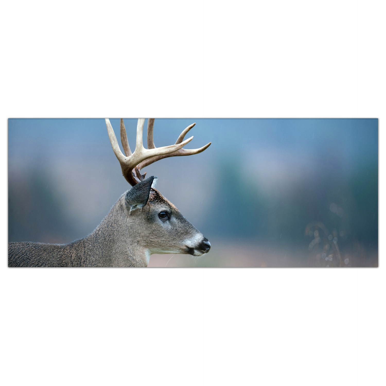 

Hartowany Obraz Szklany Jeleń Pole Zwierzę 125x50