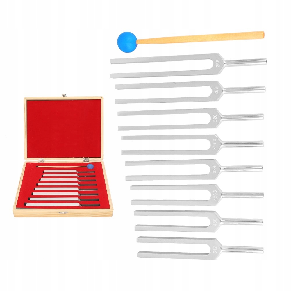 Vidlicová Súprava Kamerton C 256 Hz-512 Hz 8 Kusov Kladivo