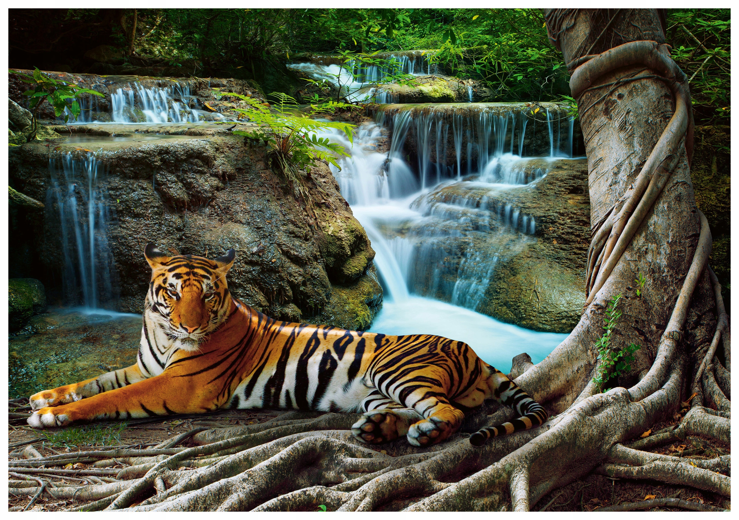 Fototapeta Tygr a vodopád v džungli Relax přírody 400x280 harmonie lepidlo