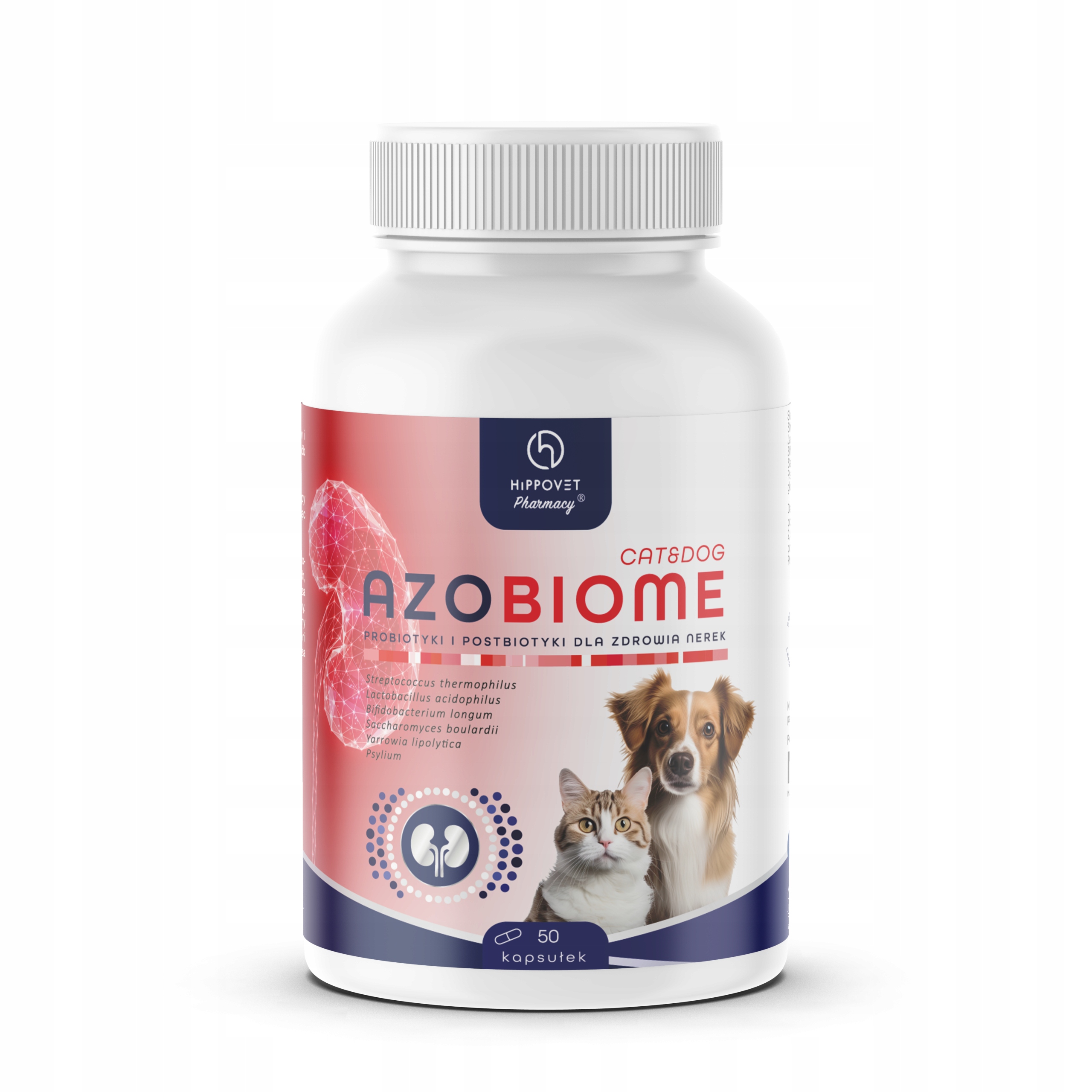 Hippovet Pharmacy Azobiome probiotyk dla psów i kotów wsparcie w terapii
