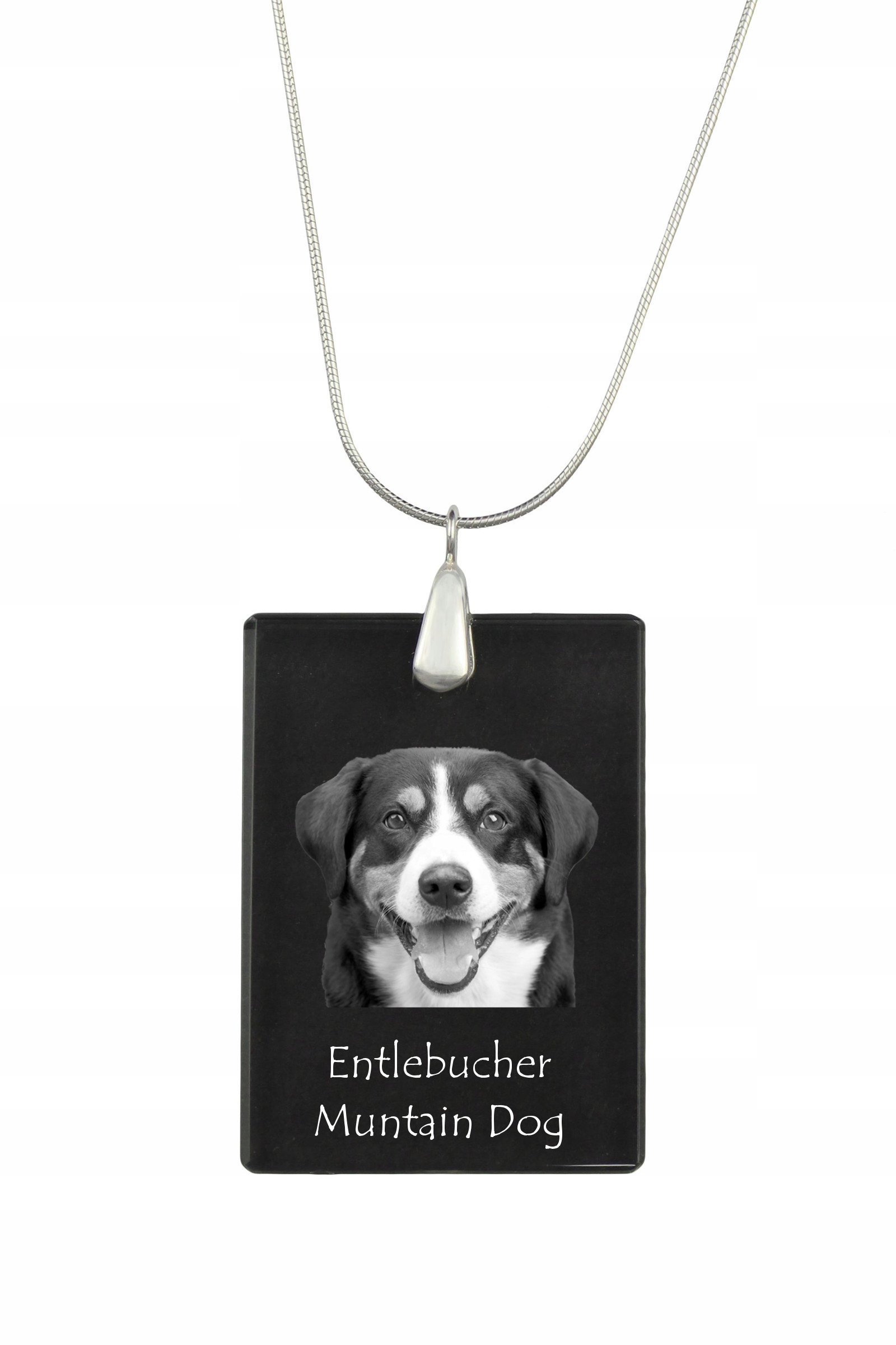 Entlebucher stříbrný náhrdelník s křišťálovým přívěskem se psem s fotografií