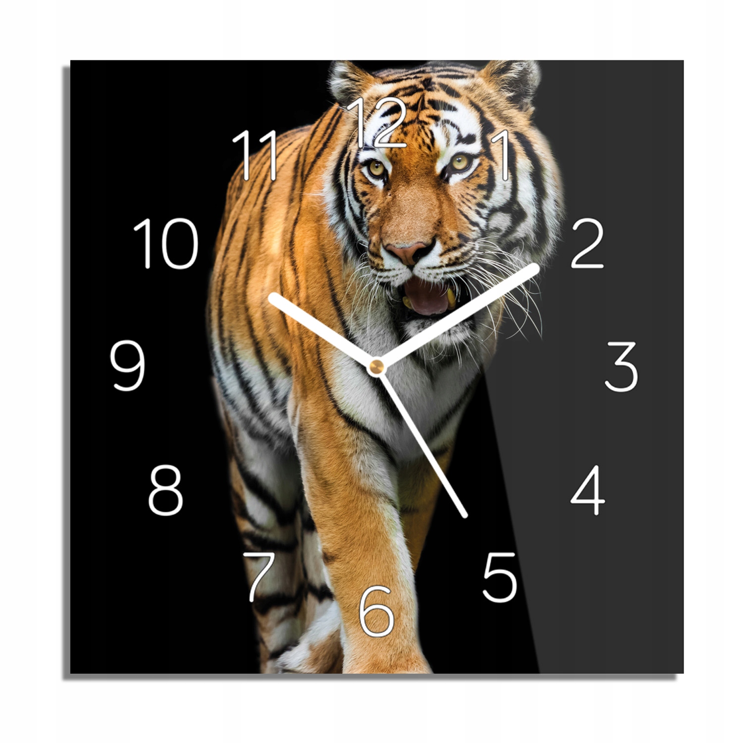 

Tygrys sylwetka zegar na szkle kwadratowy 30x30