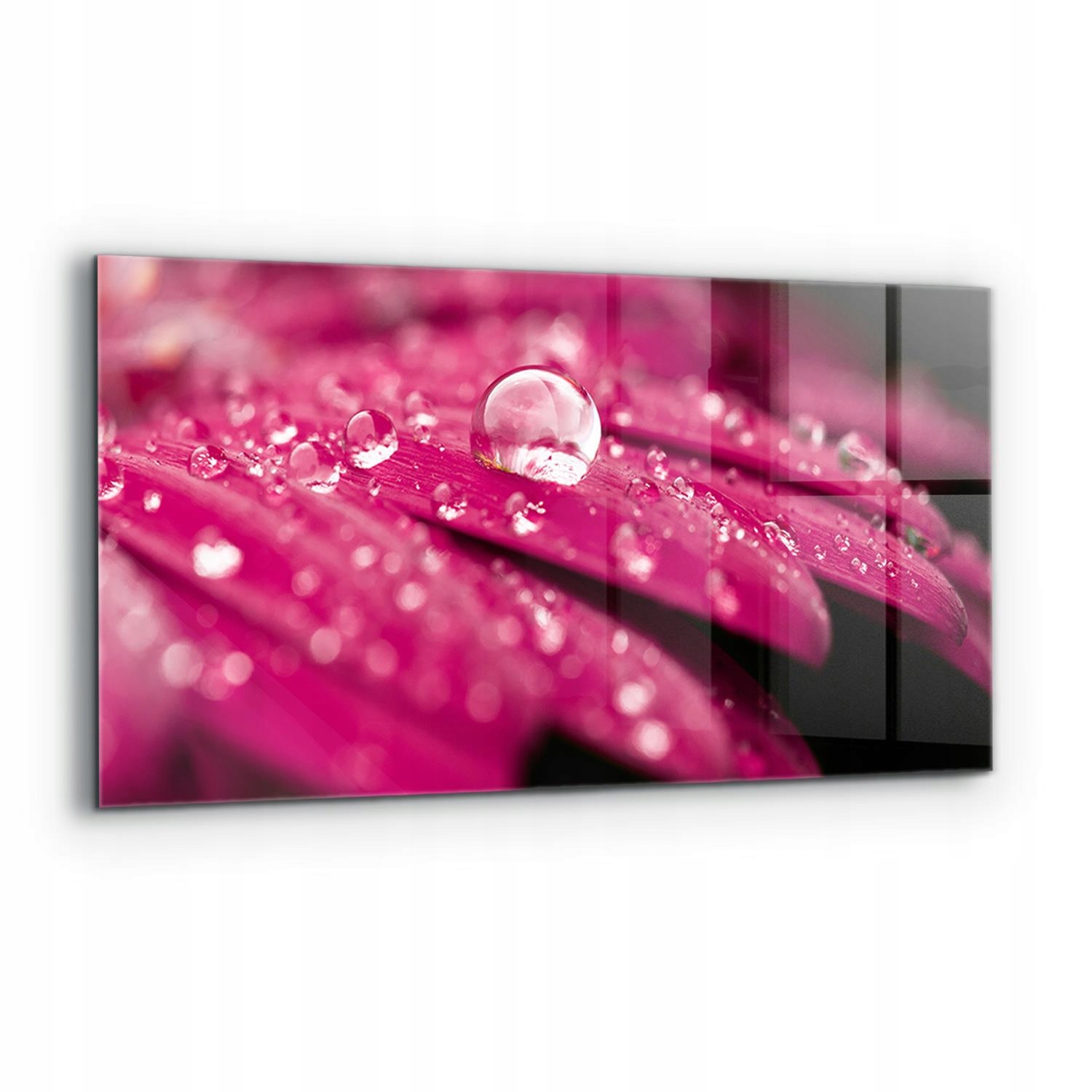 Panel Kuchyňa Izba Ružová Rastlina Kvet 120x60 cm
