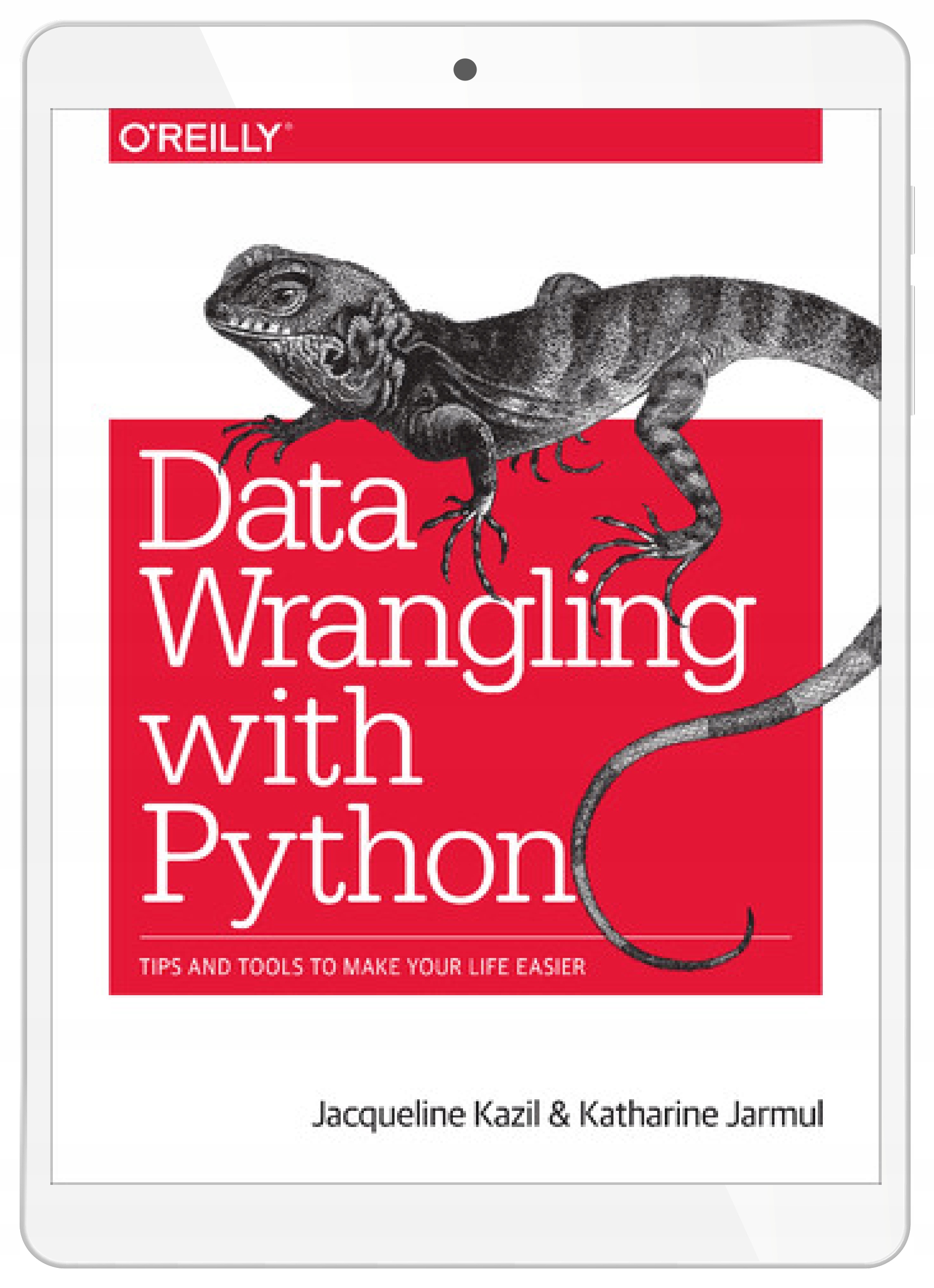 Data Wrangling with Python. Tips and Tools to Make