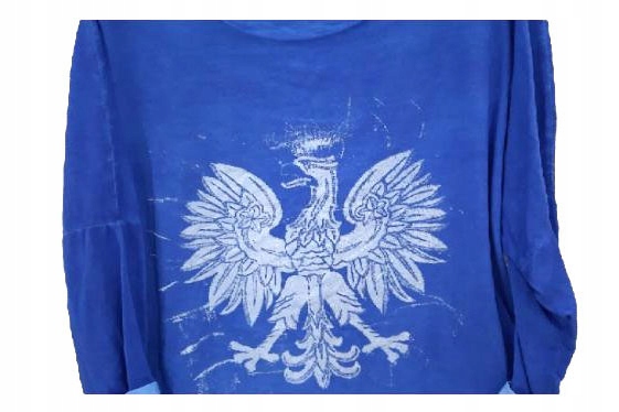 

Tu Kupisz Dekatyzowana Bluzka Z Orłem Orzeł Kolory