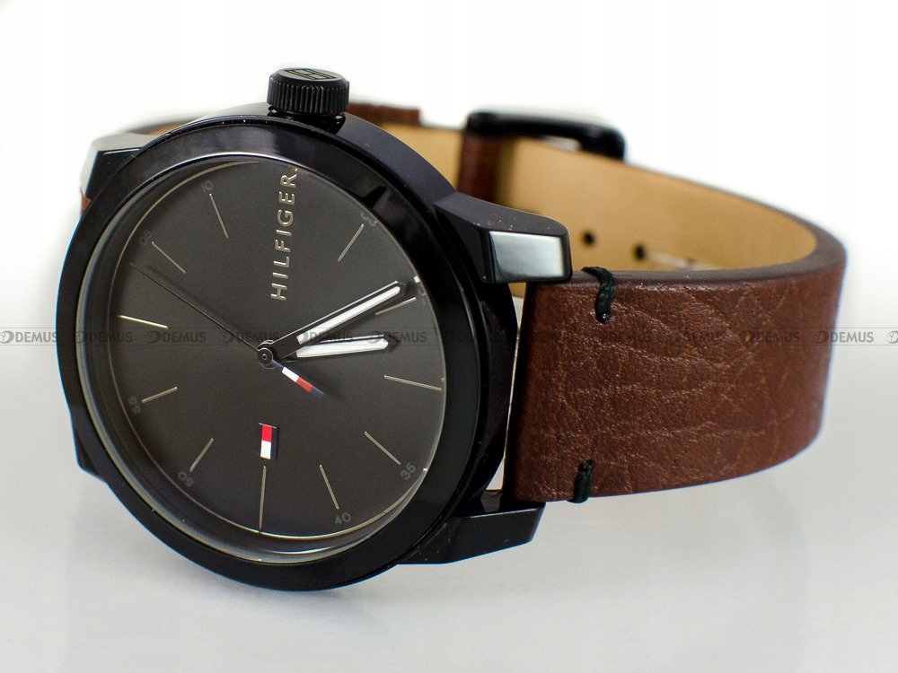 Pánské hodinky Tommy Hilfiger 1791383