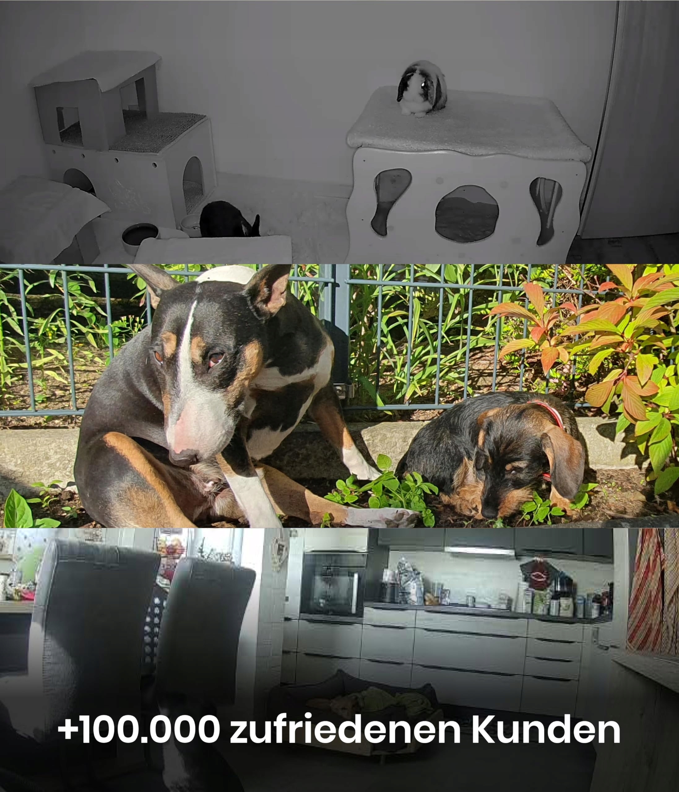 PetTec 360° Full HD augintinių kamera su programėle, judesio aptikimu ir naktiniu matymu
