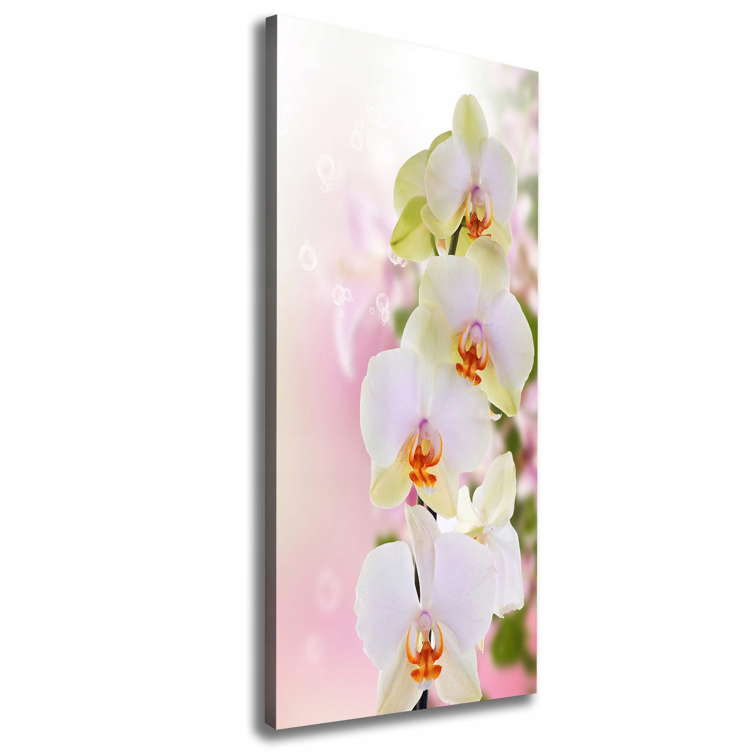 

Foto obraz na płótnie Biała orchidea 50x125 cm