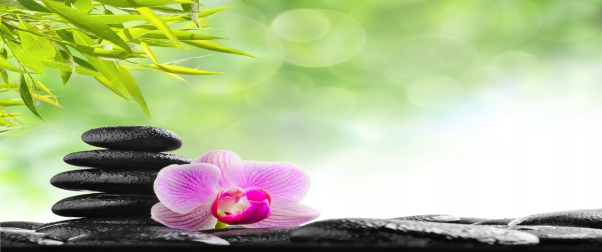 

Fototapeta Flizelinowa Orchidea Kamienie 250x104