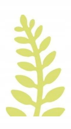 DZIURKACZ OZDOBNY 5CM PAPROĆ