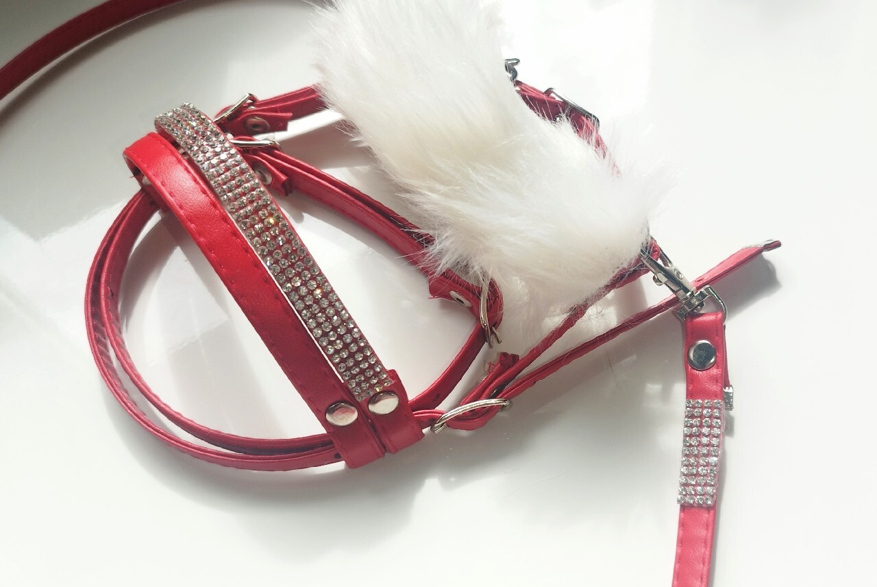 Ogłowie dla hobby horse A4 czerwone