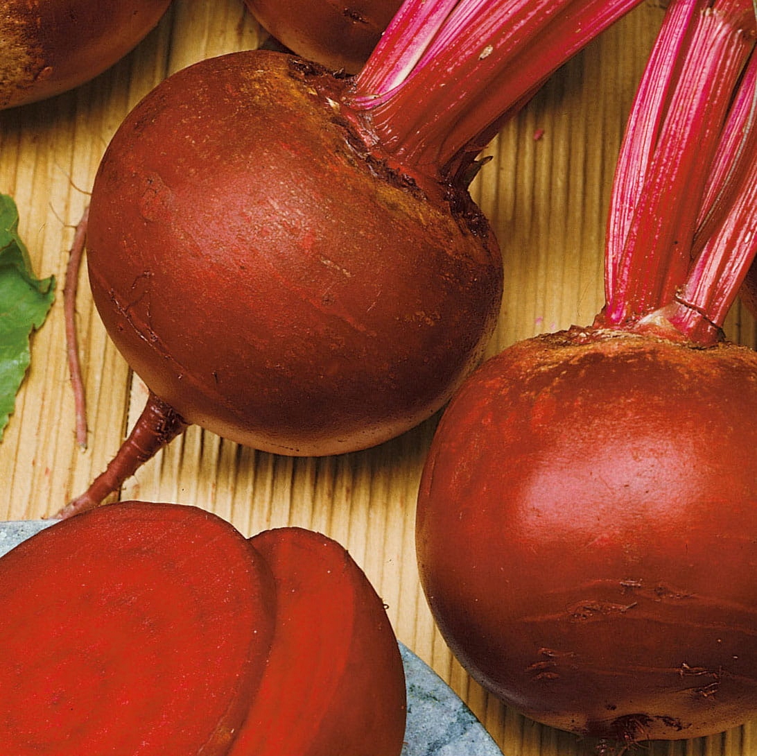 Свекла красный шар. Свекла "красный шар". Свекла красный шар. Семена свекла красный шар, чб. Свекла красный шар.