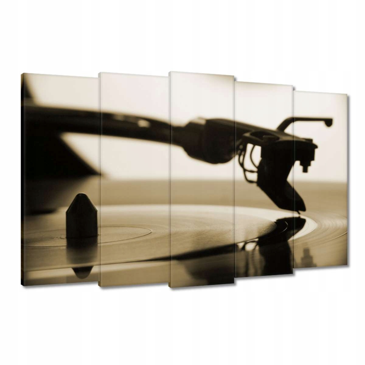 Obrazy 150x95 Vinylová deska