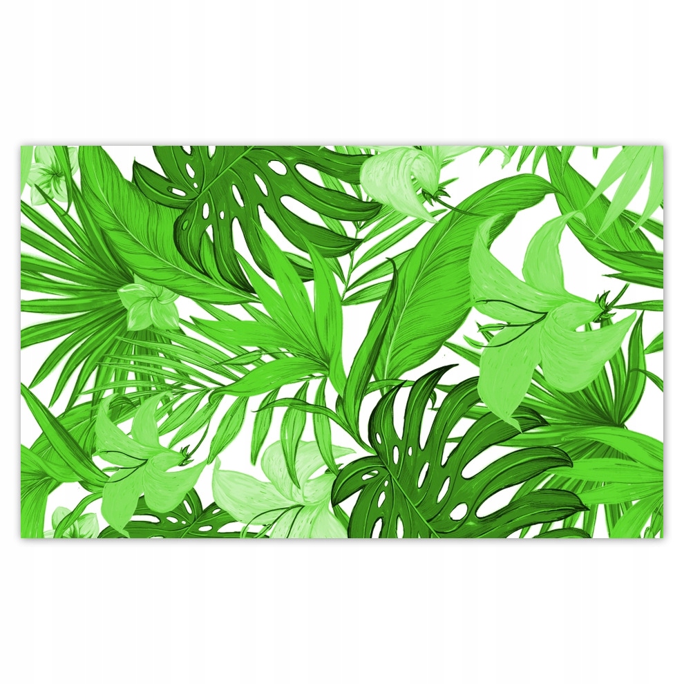 

Fototapety flizelina 520x318 Monstera