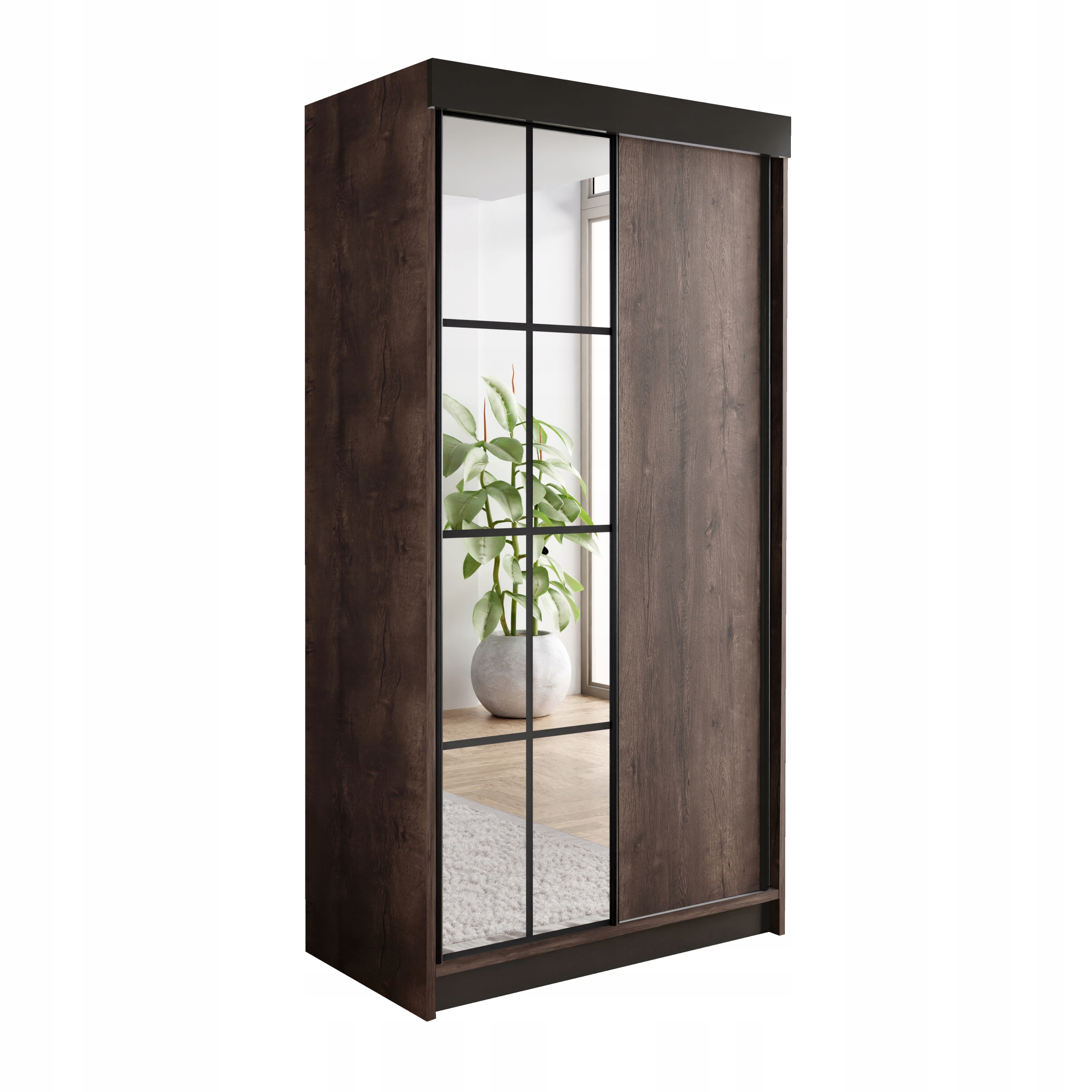 Skříň se zrcadlem Bari 1 jasan tmavý 100 se zrcadly