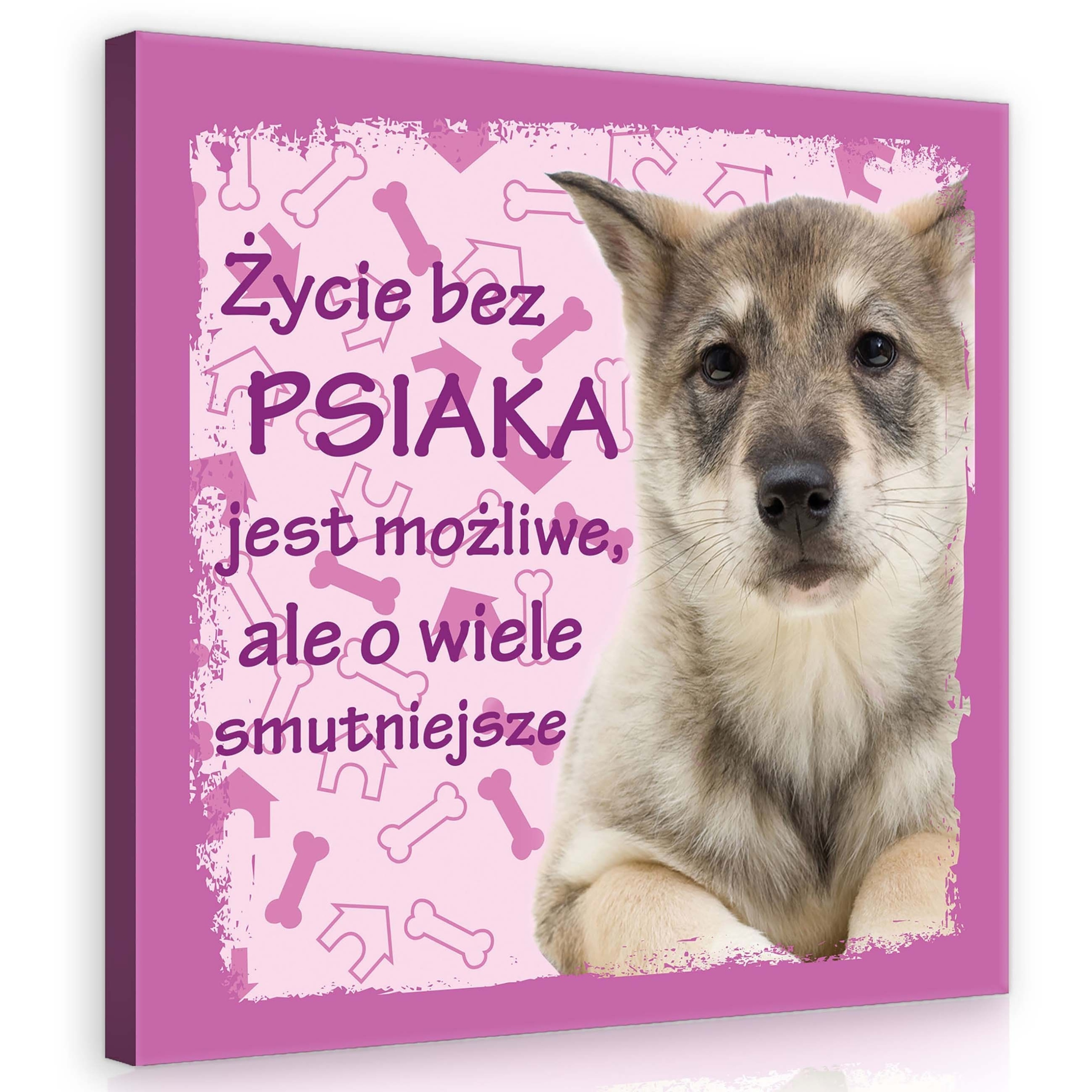 Obraz 80x80 Štěňátko pes růžová kost sladké domácí zvíře nápis