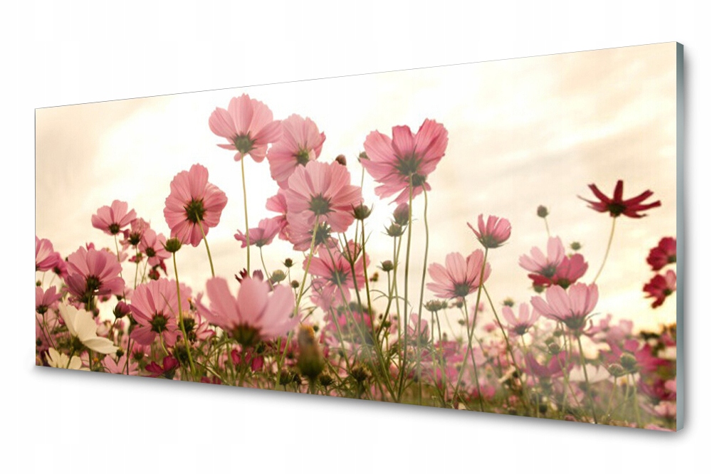 

Panel szklany do kuchni Kwiaty Polne Łąka 125x50
