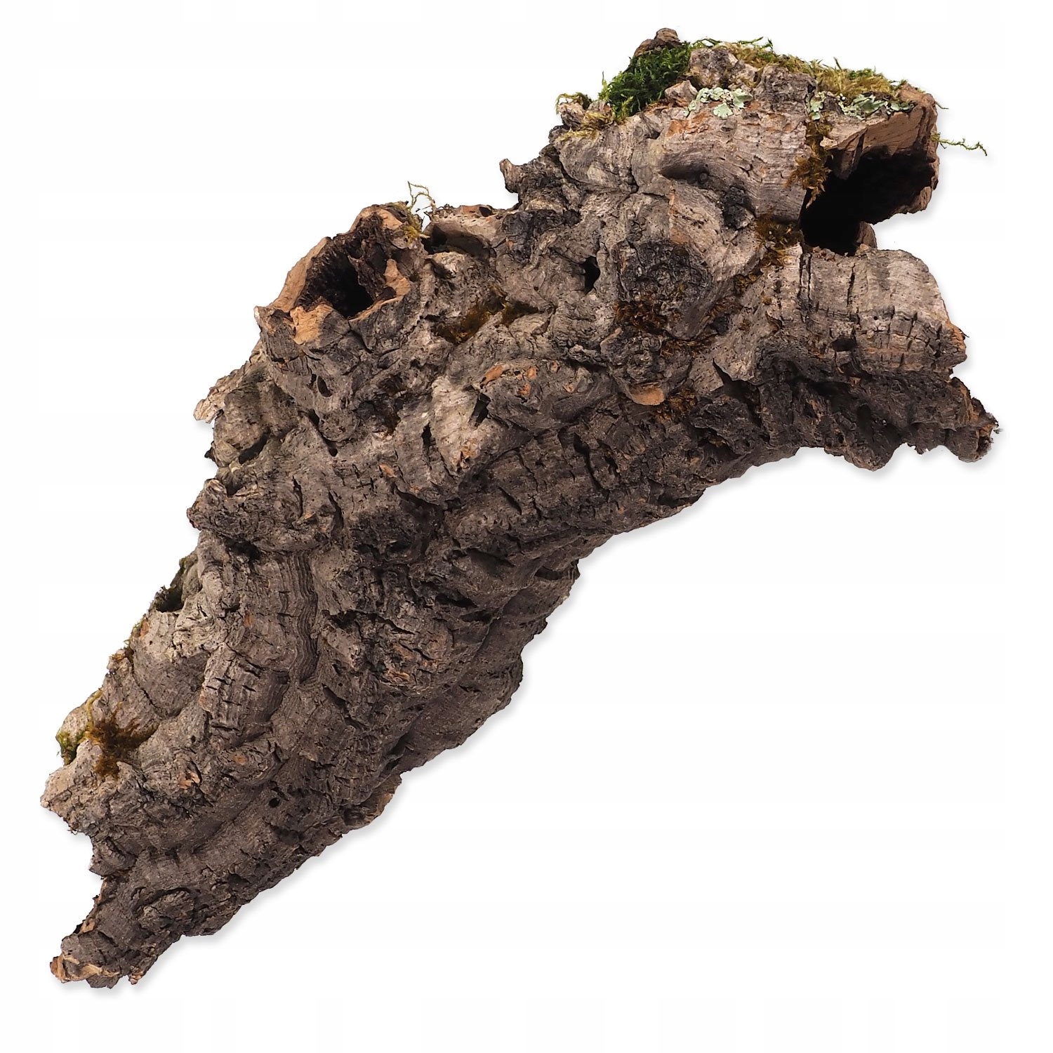 Levně Dekorace Repti Planet Korková kůra M 15-30cm