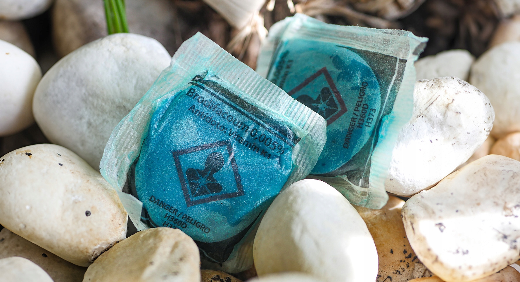 MUMIFIKAČNÝ PASTOVÝ JED PRE MYŠI POTKANY NÁVNADA BRODIFAKUM MURIBROM 1KG Značka Muribrom