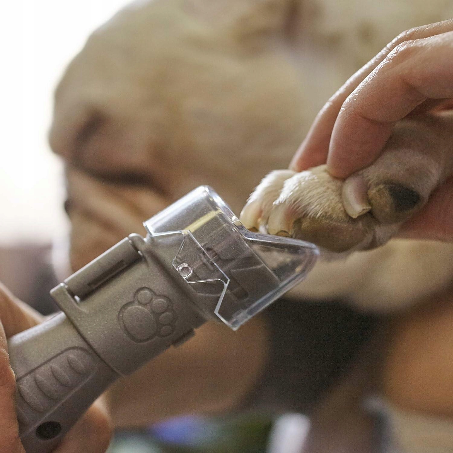 Obcinacz do pazurów zwierząt Dremel F0137020PG Kod producenta 7020-PGK