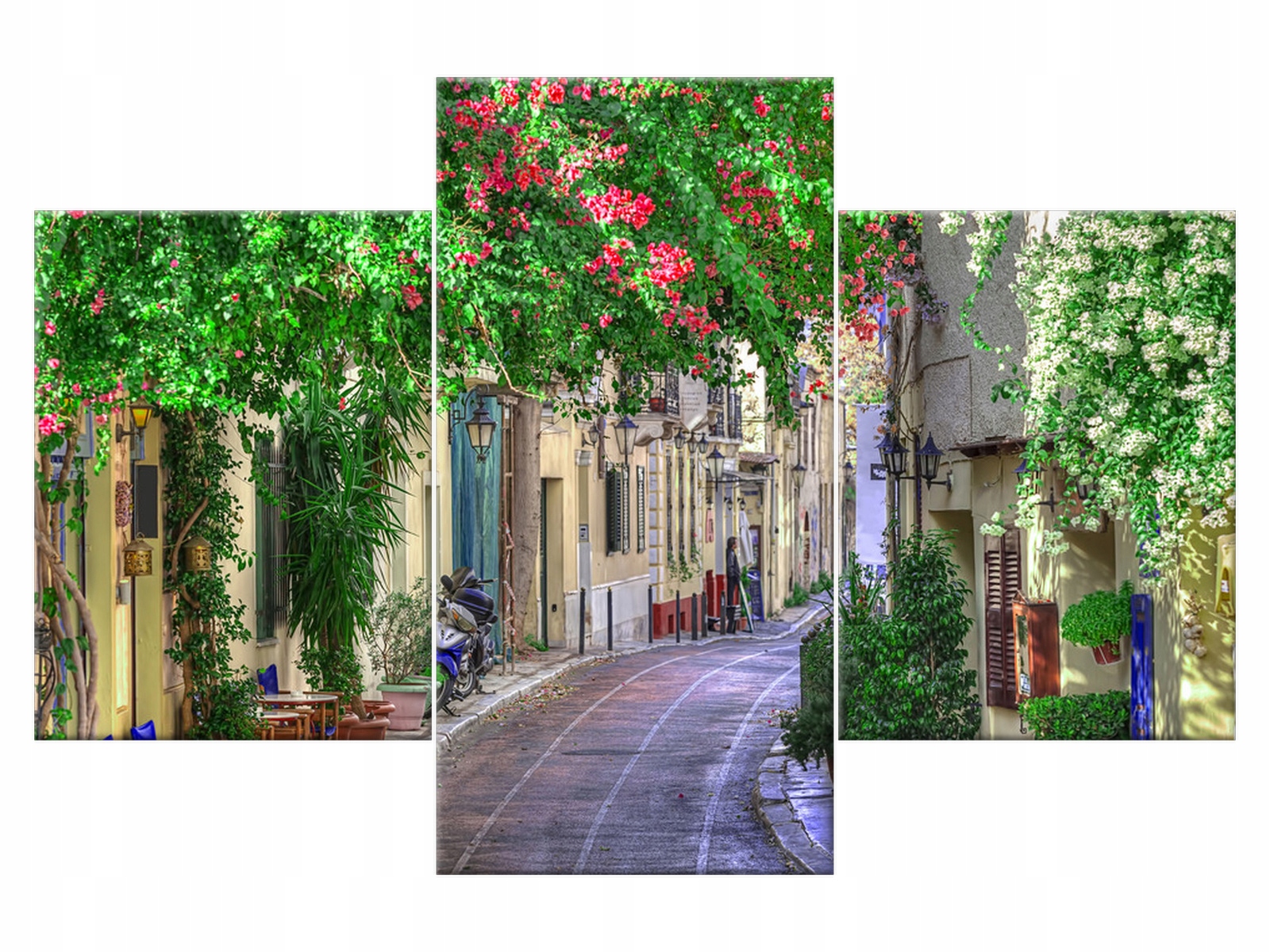 

Obraz 90x60 Architektura Grecka uliczka Rośliny