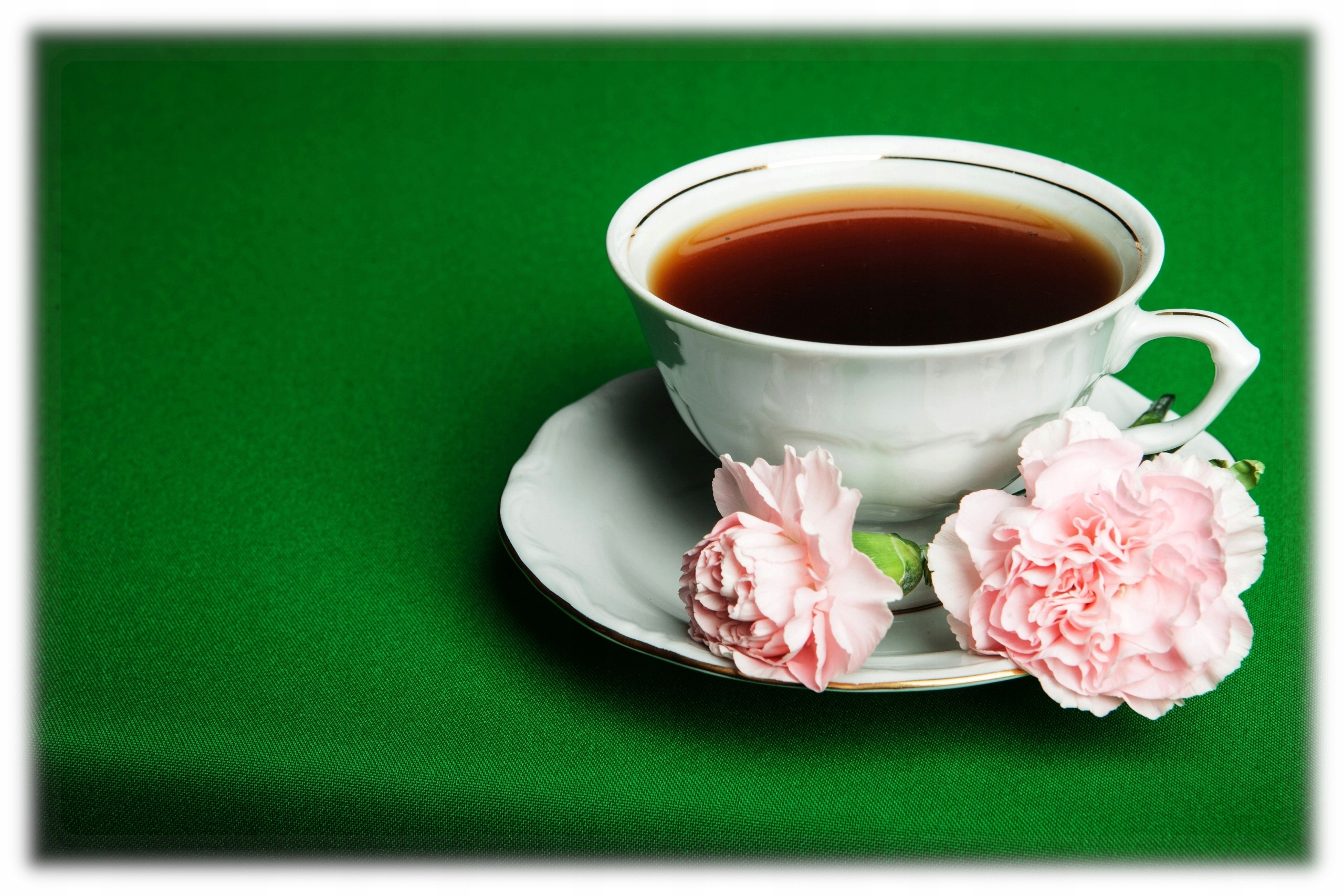 

obrus Magia Koloru 120x170 | zielony Jakość gładki