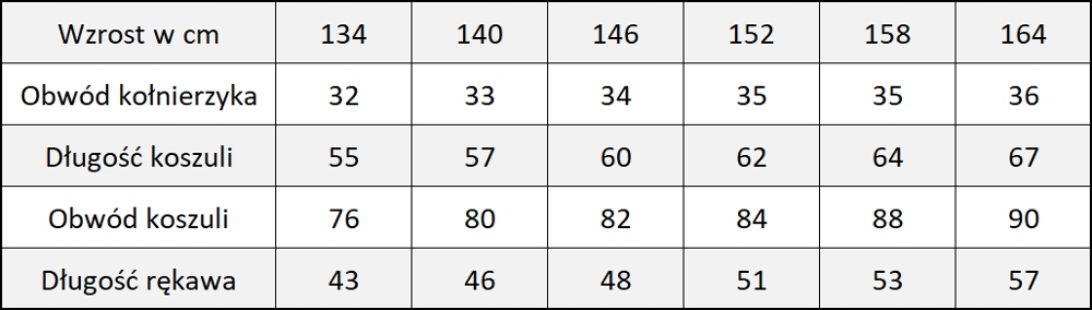 KOSZULA BIAŁA SLIMFIT DZIECIĘCA 140 cm - 33 Kolor biały