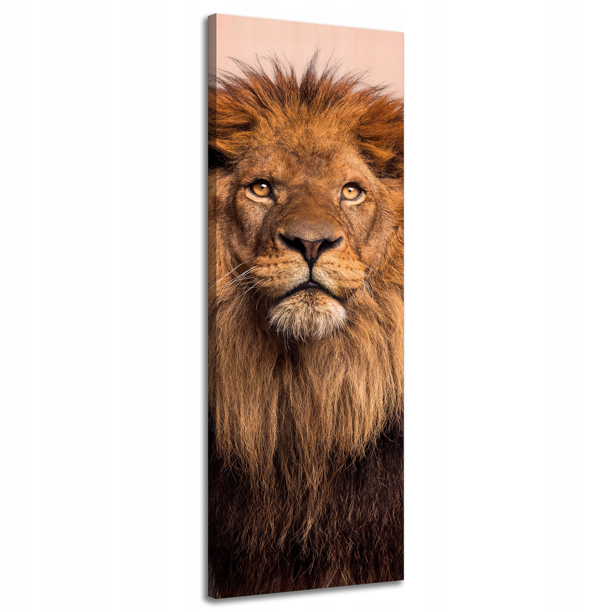 Obraz na plátně Tvář lva Krása Hříva Vlasy 40x120 cm