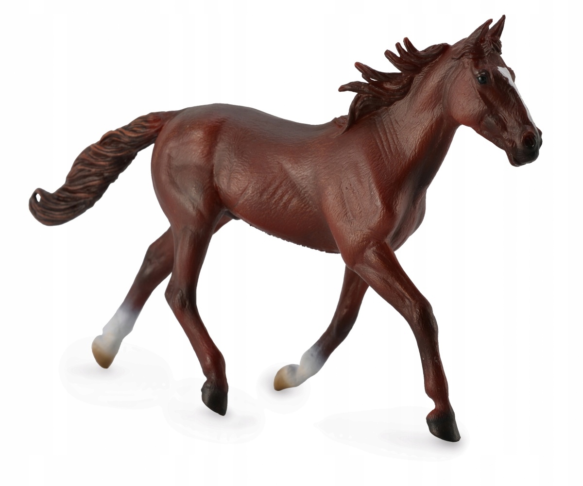 

Koń Standardbred Stallin-chesnut CollectA 88644 XL
