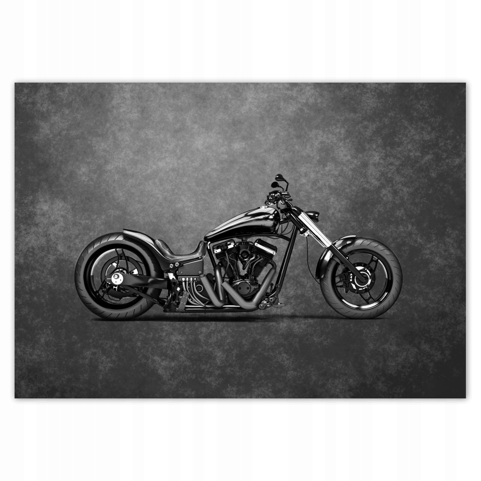 

Fototapety flizelina 312x219 Motor Motocykl