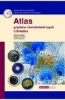 

Atlas Grzybów Chorobotwórczych Człowieka