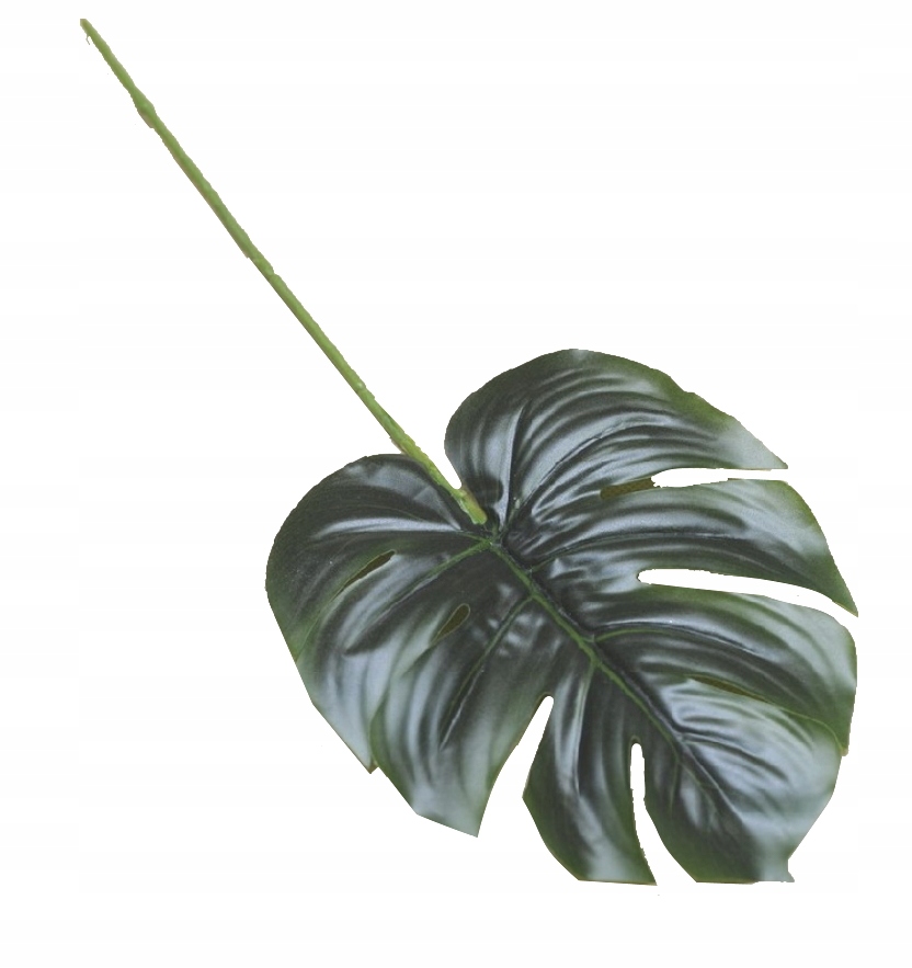

Liść Monstera Zielony Sztuczny Woskowany 40cm