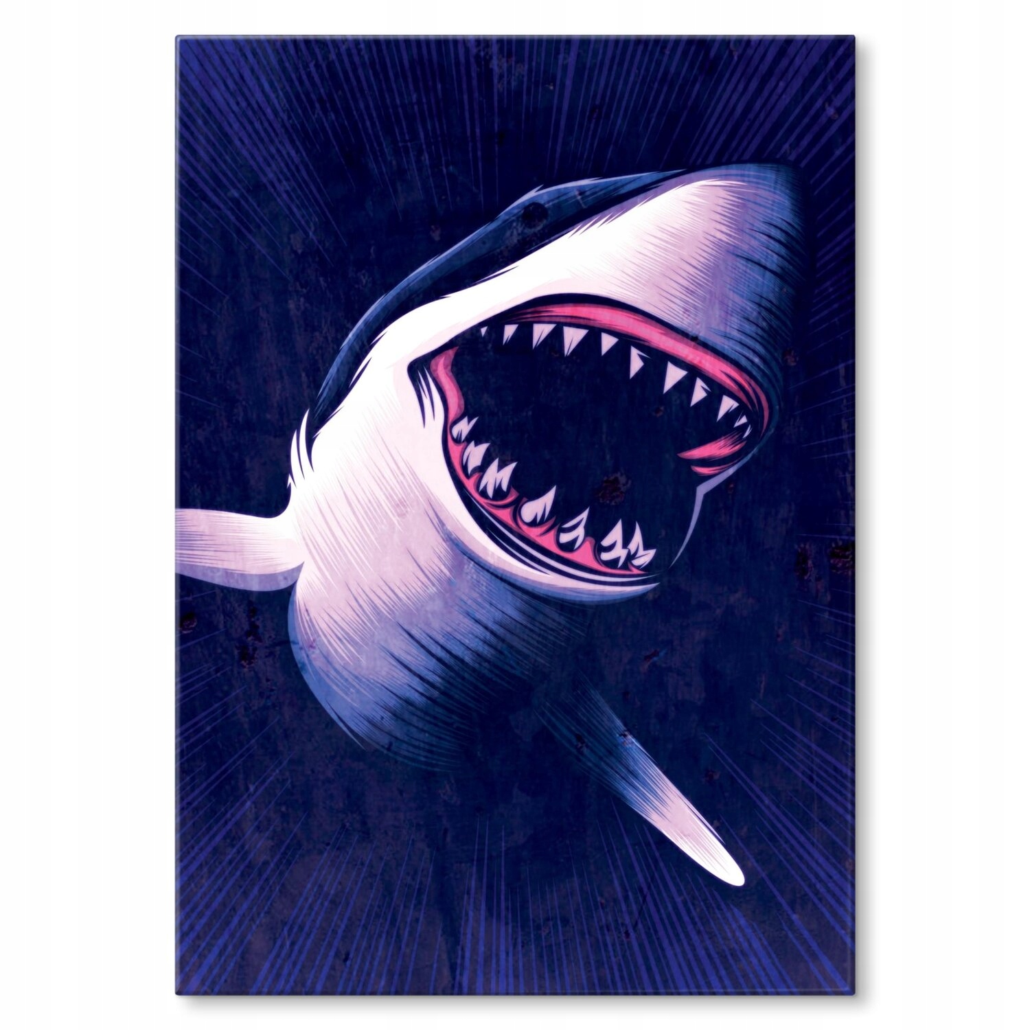 Kovový plakát Žralok Dárek 42 x 59 cm