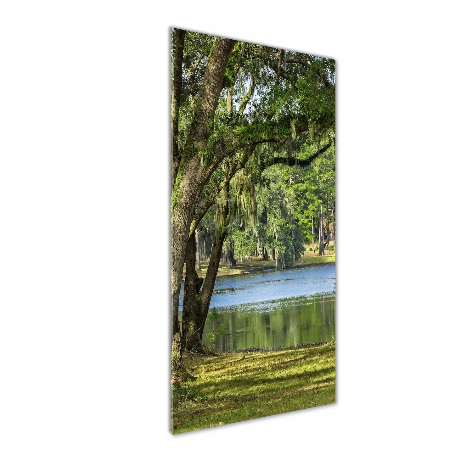 

Foto obraz szkło akrylowe Jezioro w parku 50x125cm