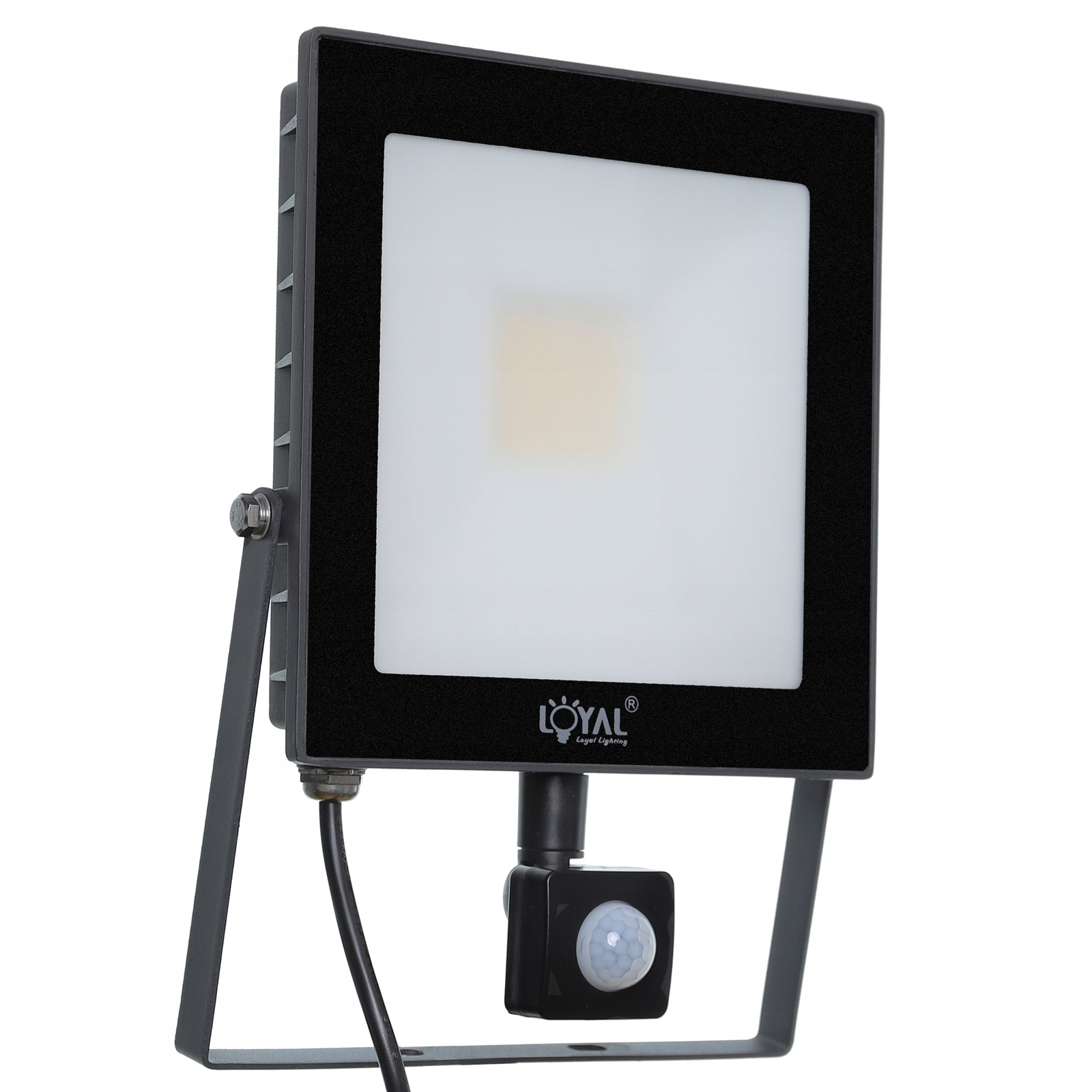 Светодиодный прожектор лампа 30W датчик движения 4250LM