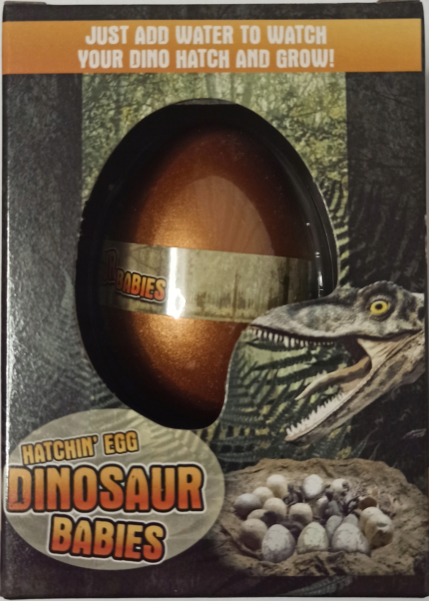 

Dinozaur Jajo Jajko do Wyklucia Wzrostu Magic Egg