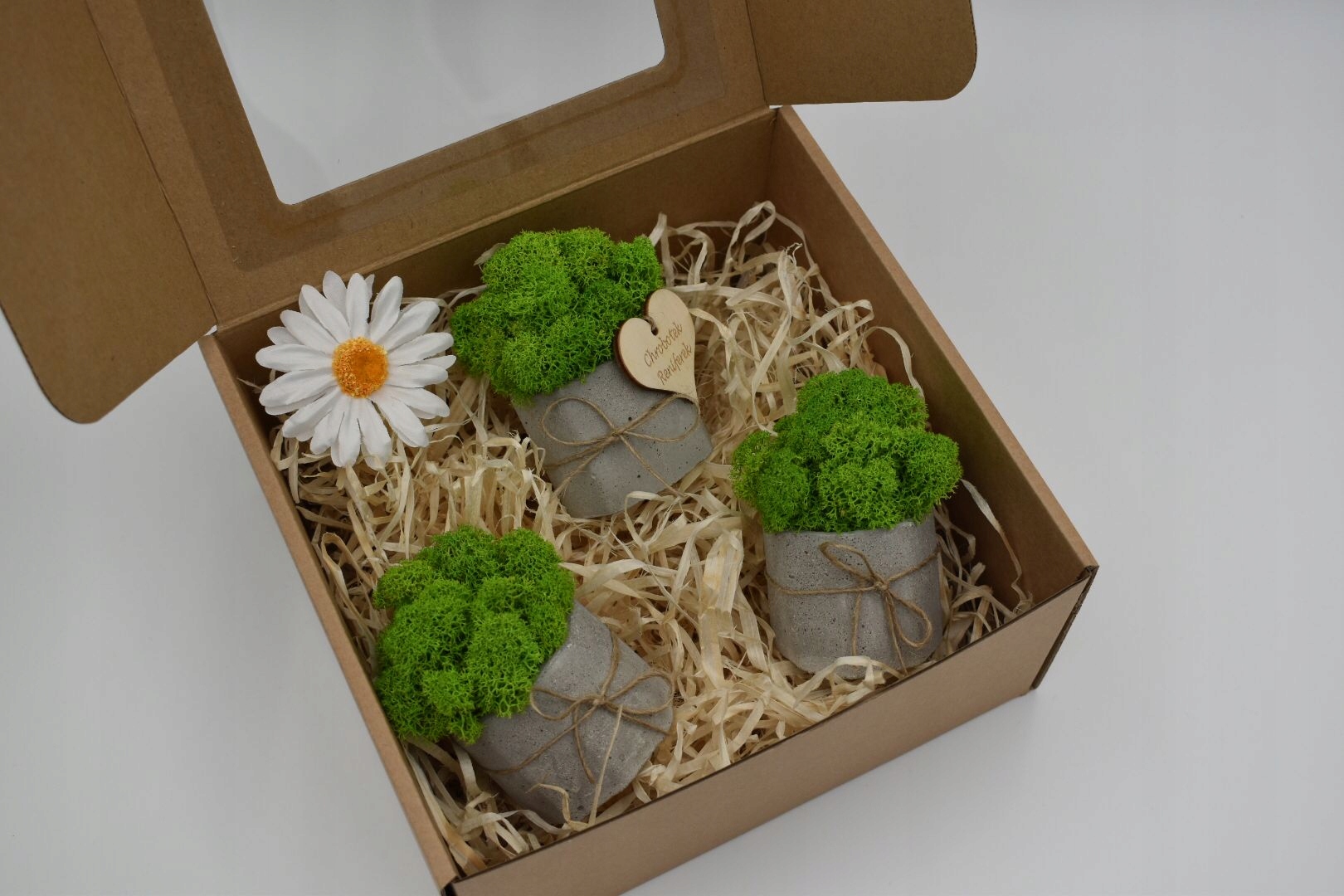 Prezent Chrobotkowy las zestaw Kod producenta CHR