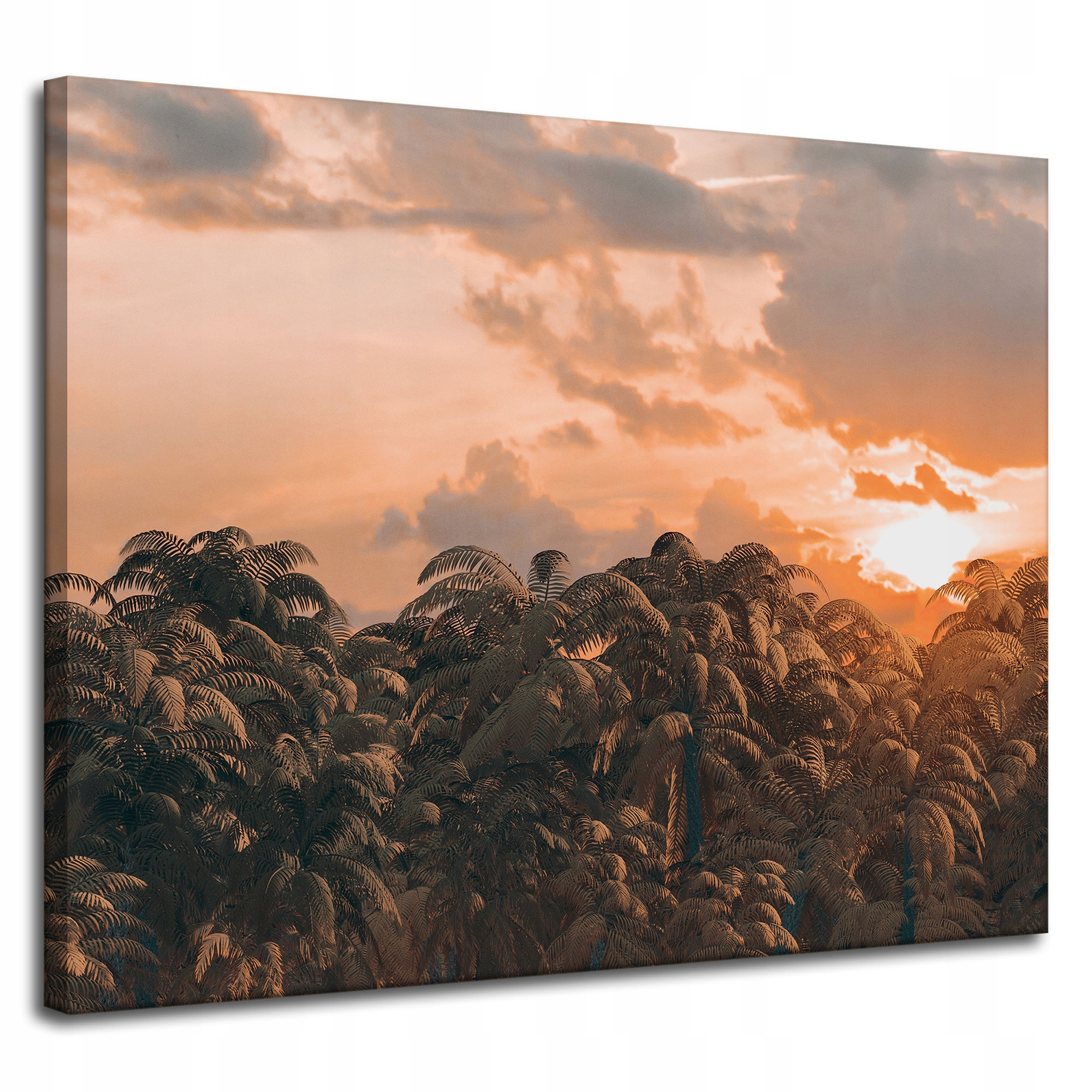 Obraz na plátně Stromy Západ Slunce Mraky Nebe 100x80 cm